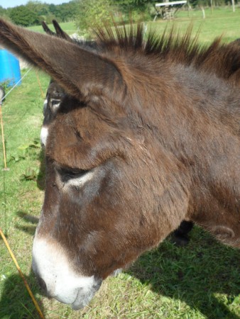 regardez comme je suis beau